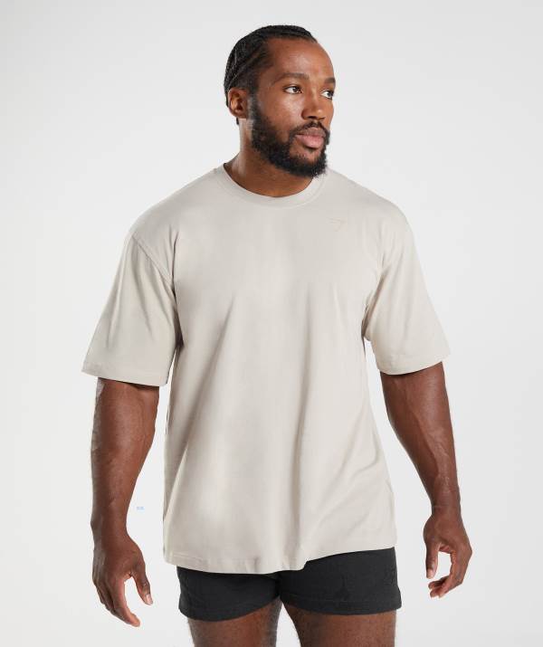 Panske Tricka Gymshark Power Siva | PD4850371